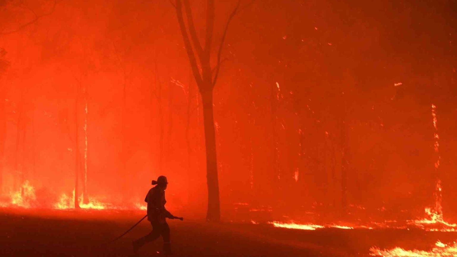 È tutto il mondo che va a fuoco: 2019 anno nero degli incendi