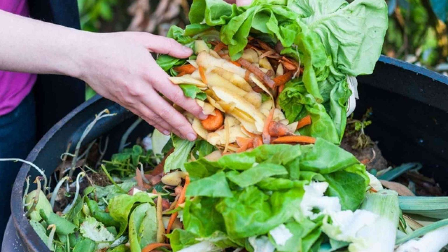 L'Italia ora spreca meno cibo