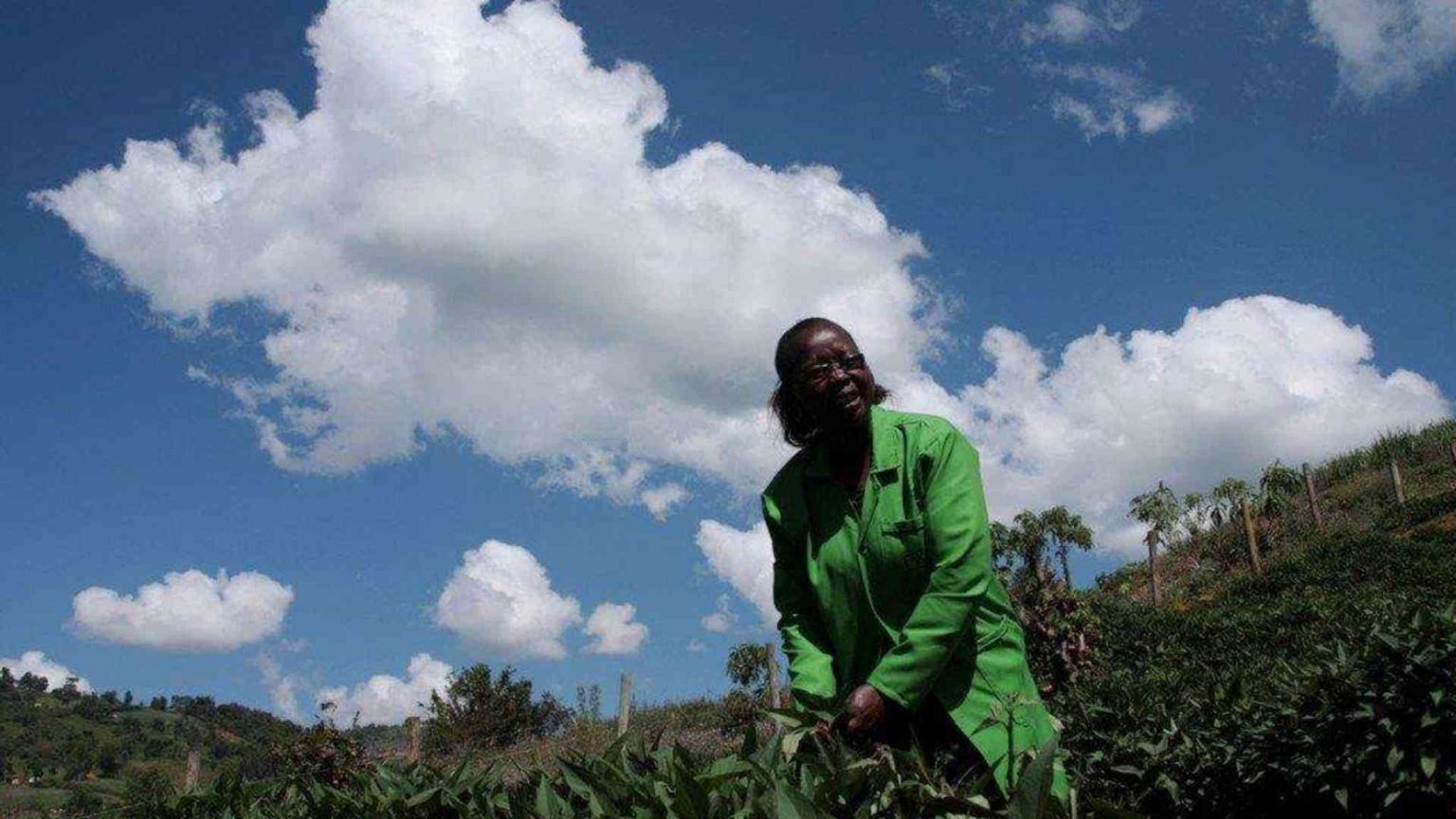 Così i contadini del Kenya vanno a scuola di sostenibilità