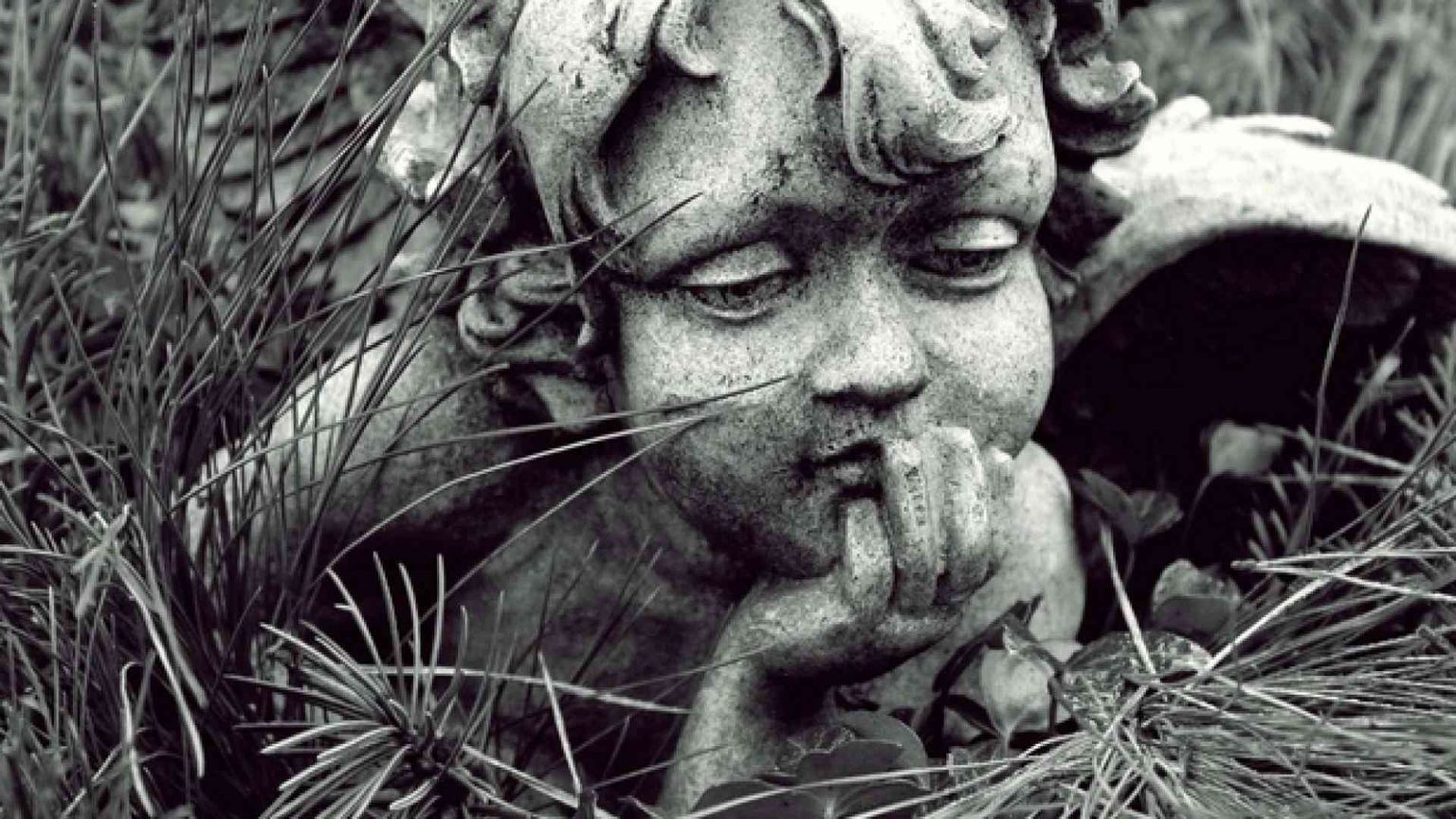 Se il corpo è ridotto a concime