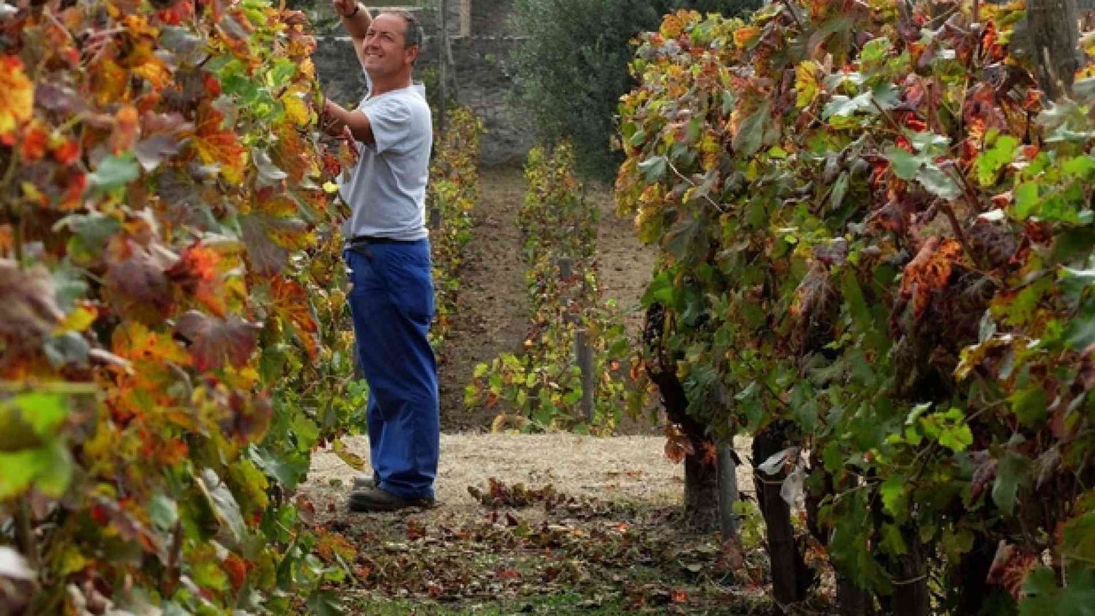 Italia prima in Ue per valore e lavoro