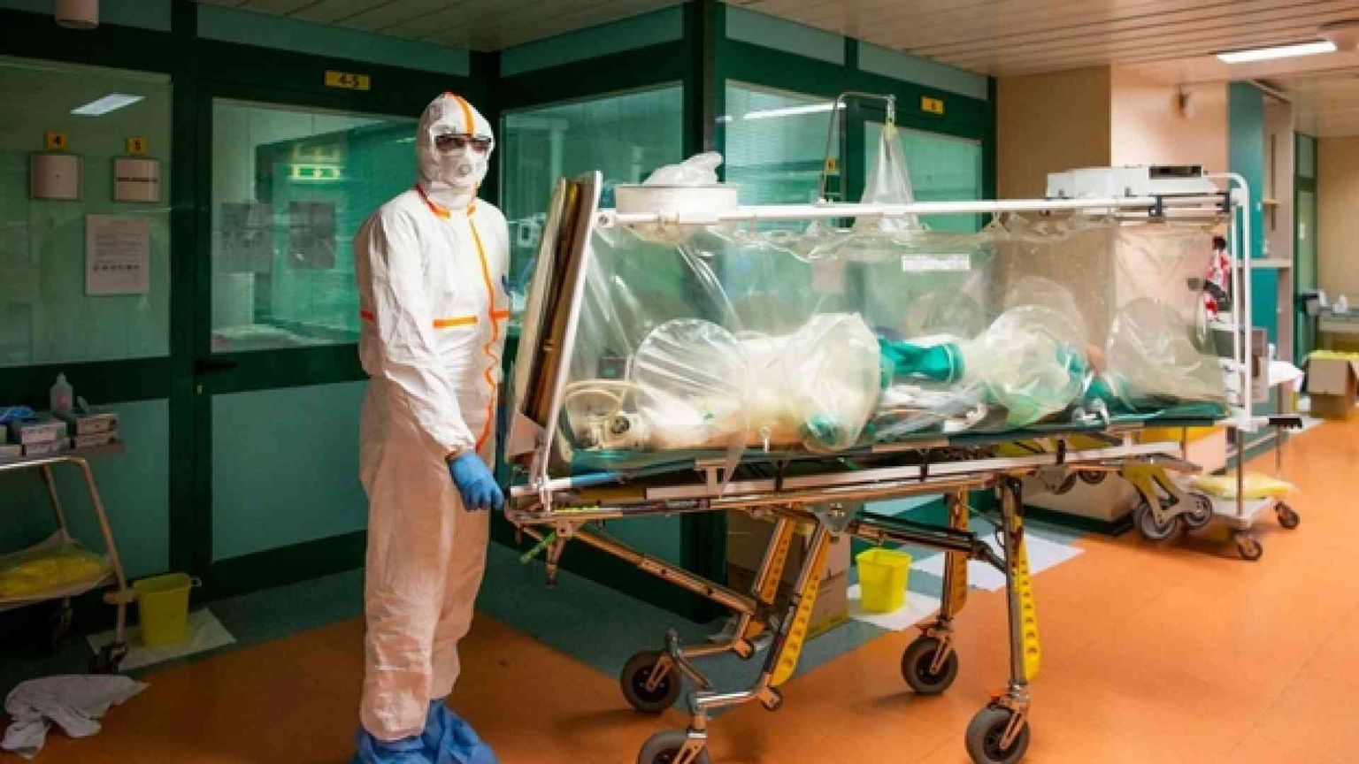 Coronavirus, effetti pesanti sulla mortalità e la natalità