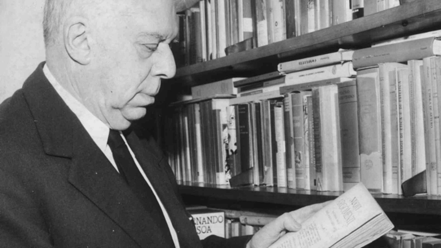 La poesia, questa incredibile mutante