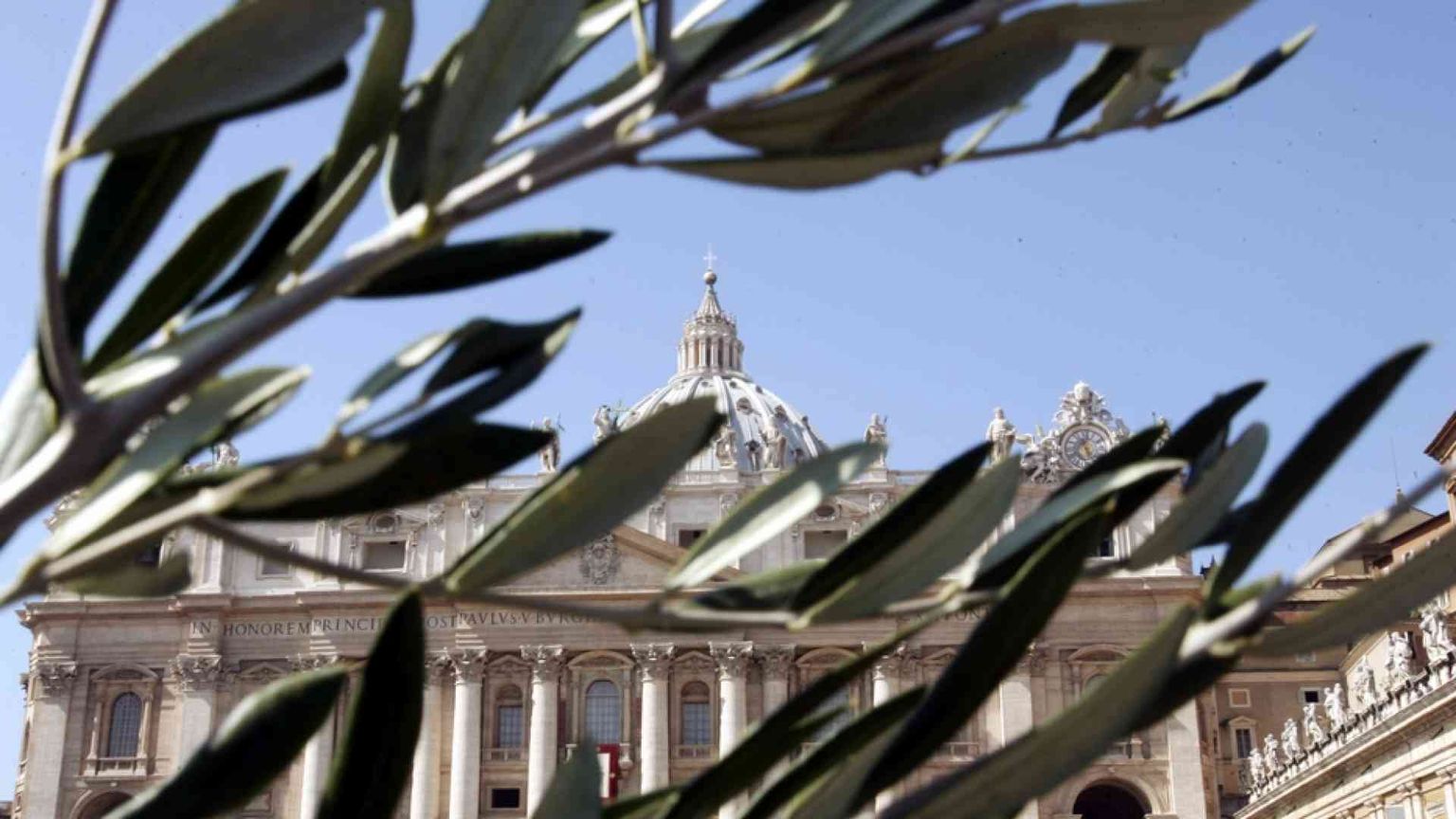 Domenica delle Palme senza ulivo? La Cei: «Basta una pianta verde»