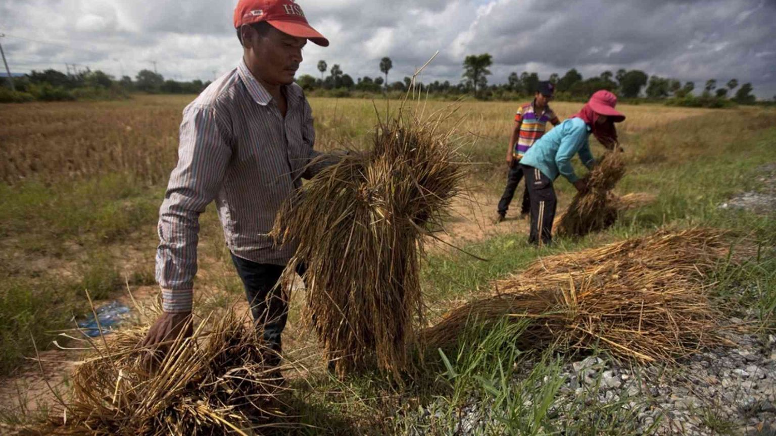 Molti lavori da ri-valutare costruendo nuove relazioni