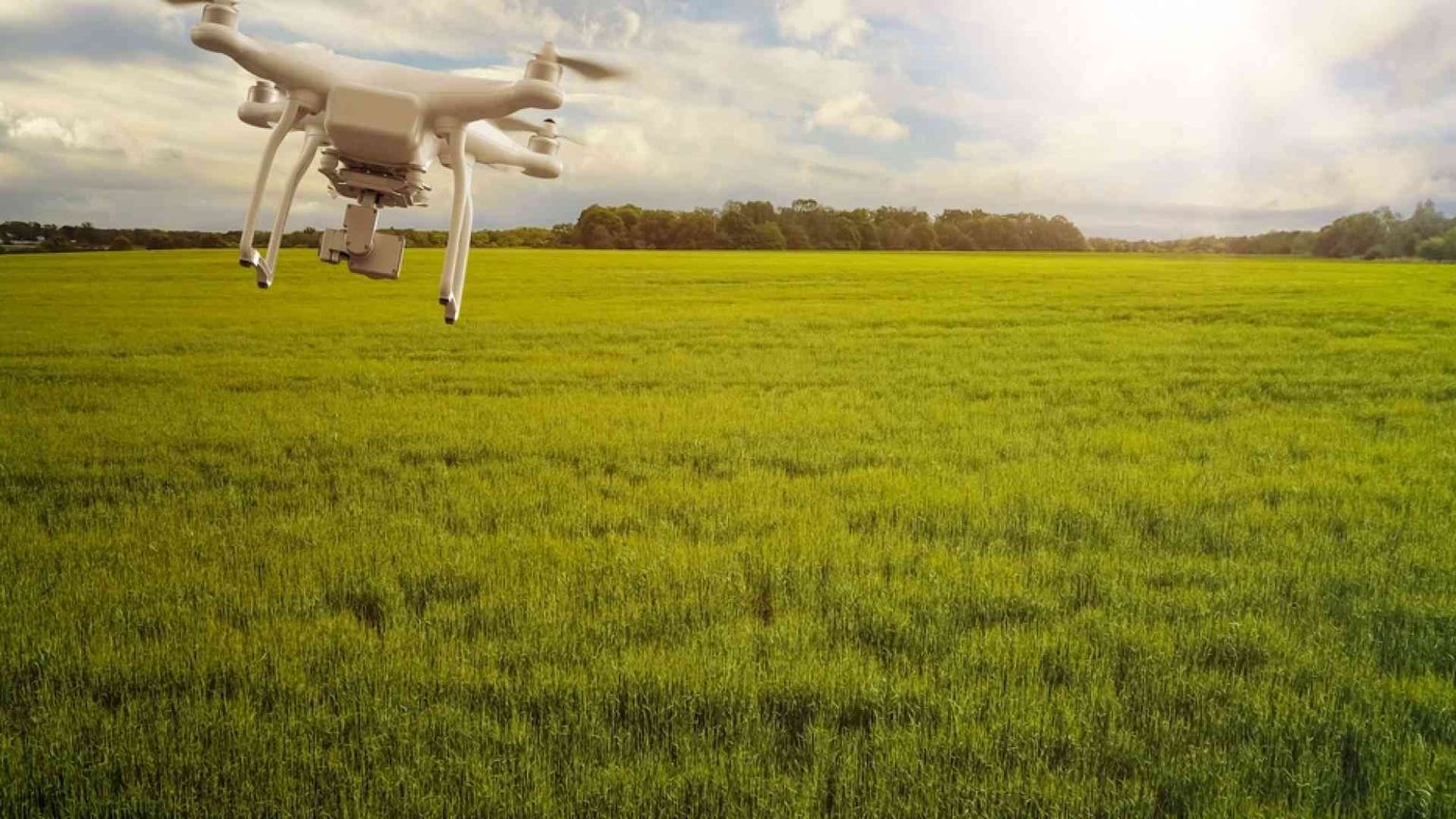 I droni amici dell'agricoltura