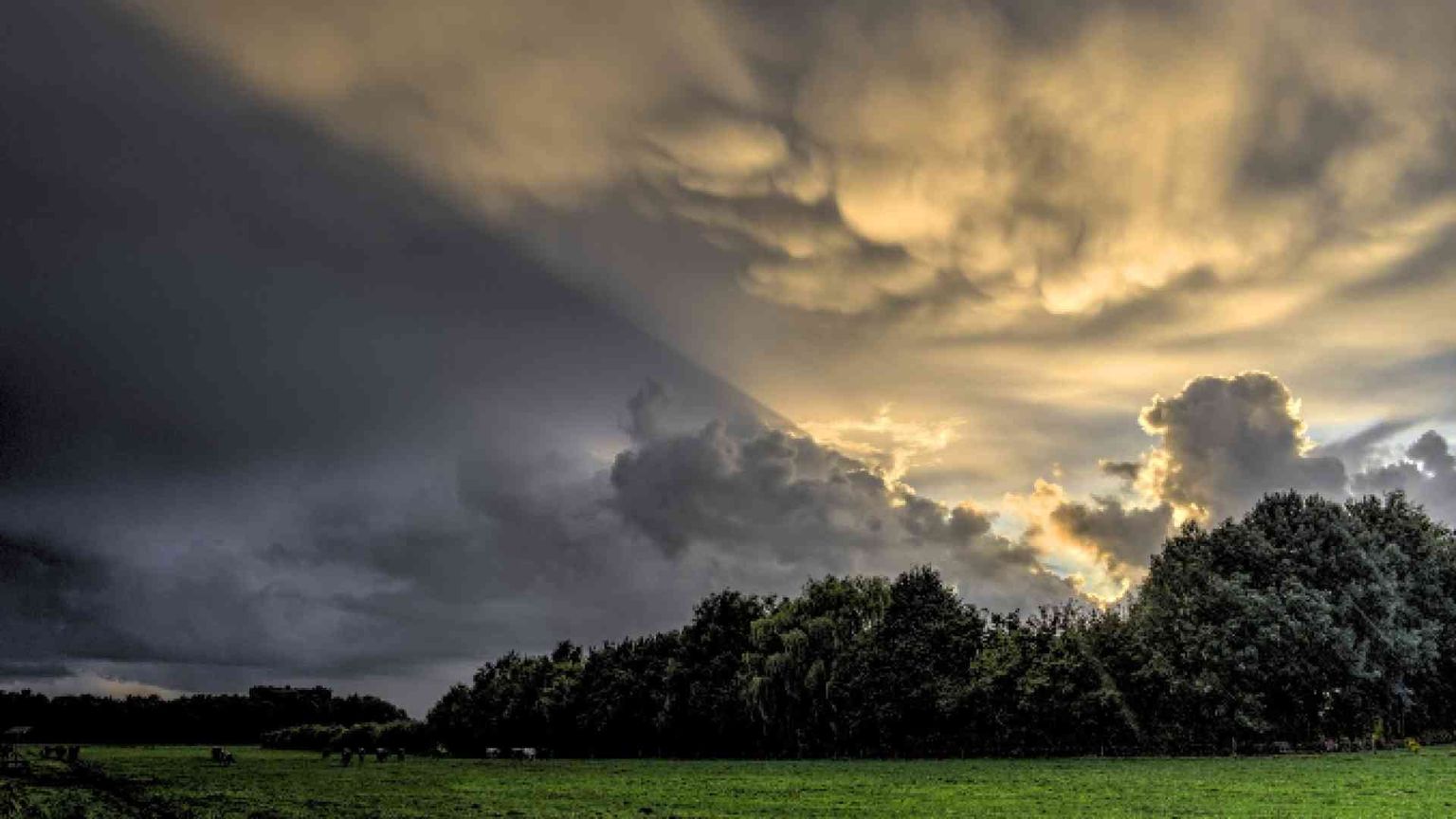 Uscire e tornare a vivere: il nuovo sguardo di re Théoden