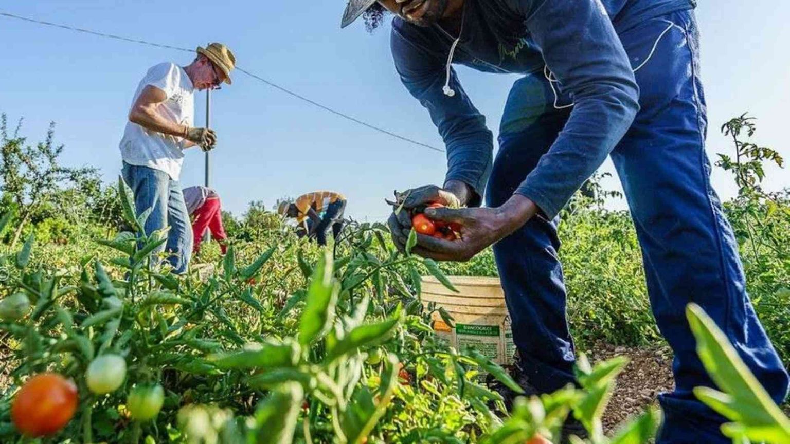 Regolarizzare, una questione di civiltà