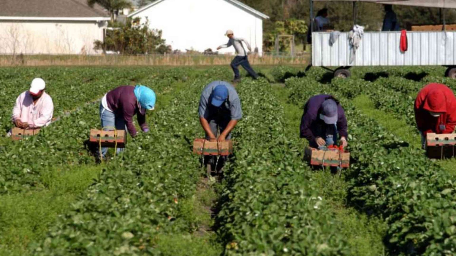 Lavoratori stranieri: cosa fare per "emergere"