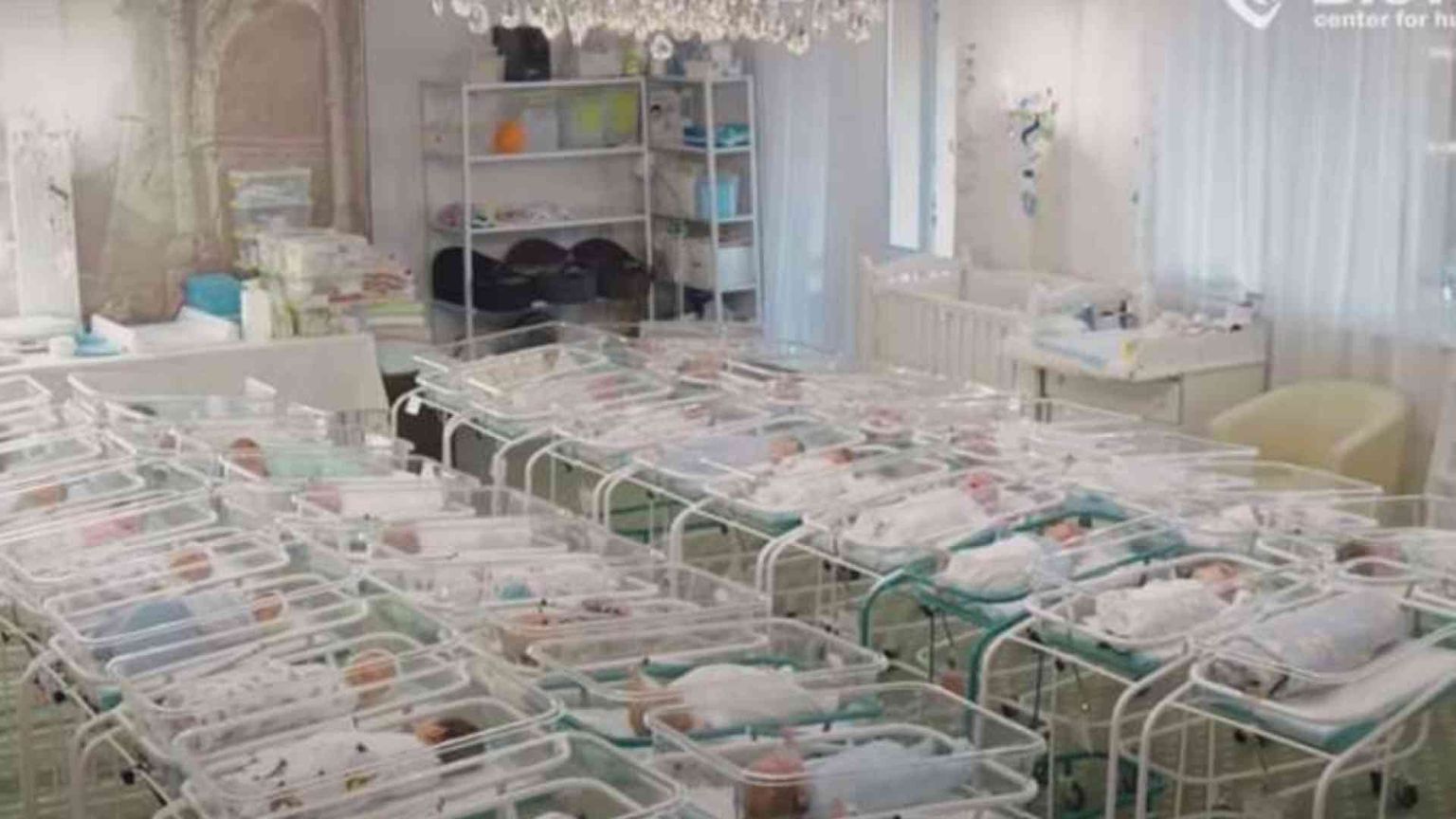 Appelli e petizioni per i 46 figli di madre surrogata a Kiev: stop al mercato