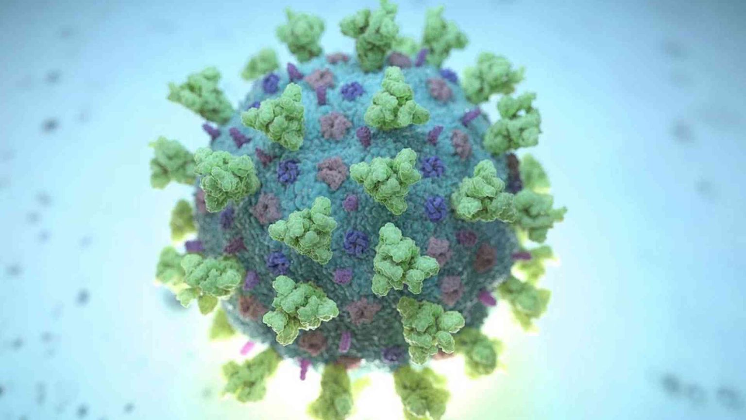 C'è la prova: è il lockdown ad aver cambiato il virus