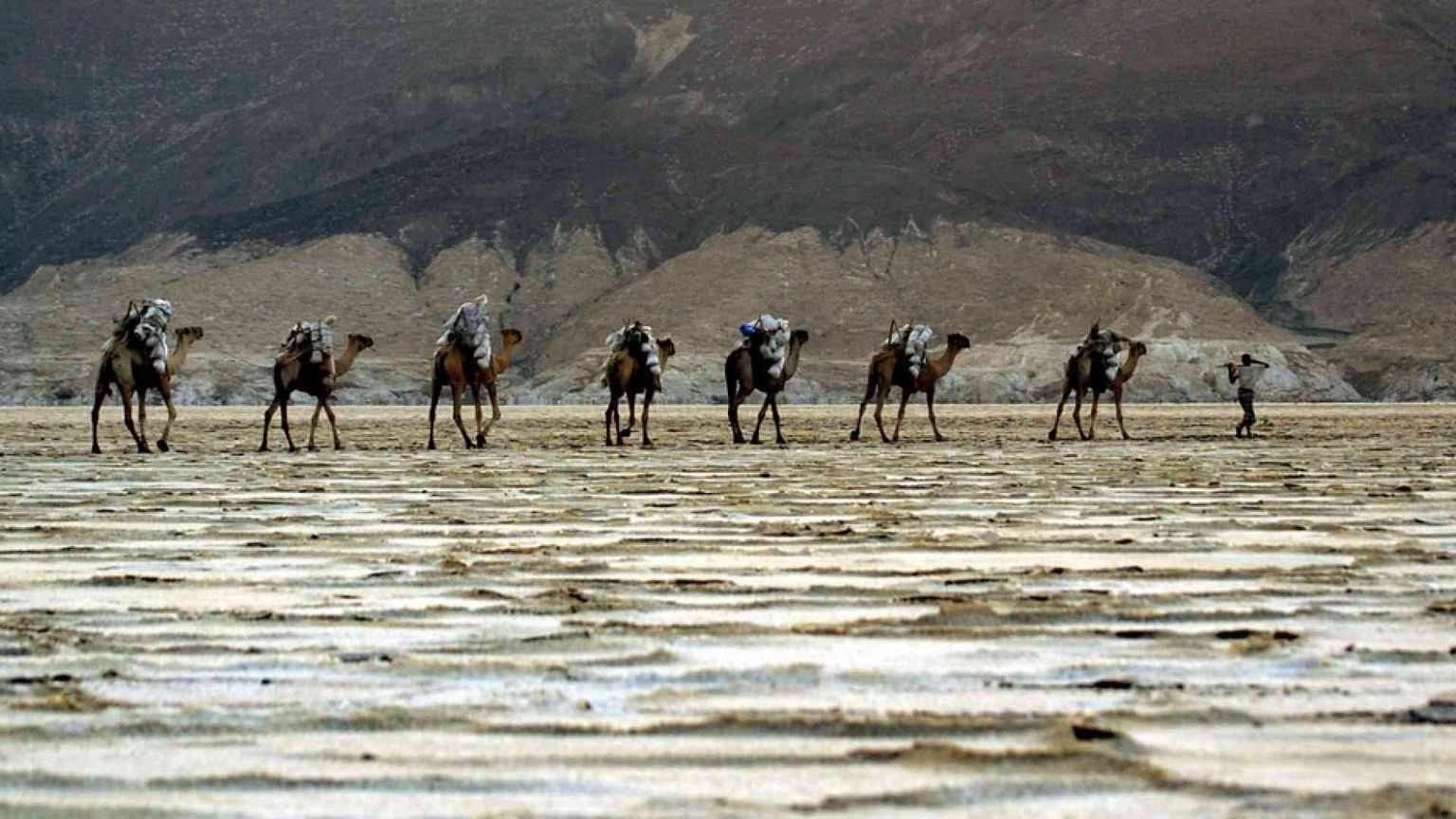 Eritrea, il regime sferza l'ex Dancalia. «Noi vessati con la scusa del Covid»