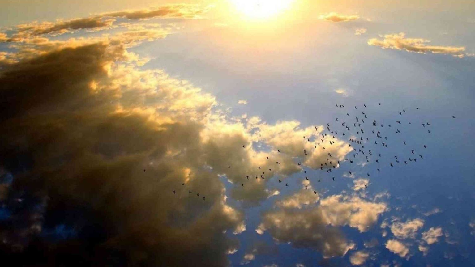 La Laudato si' in cammino