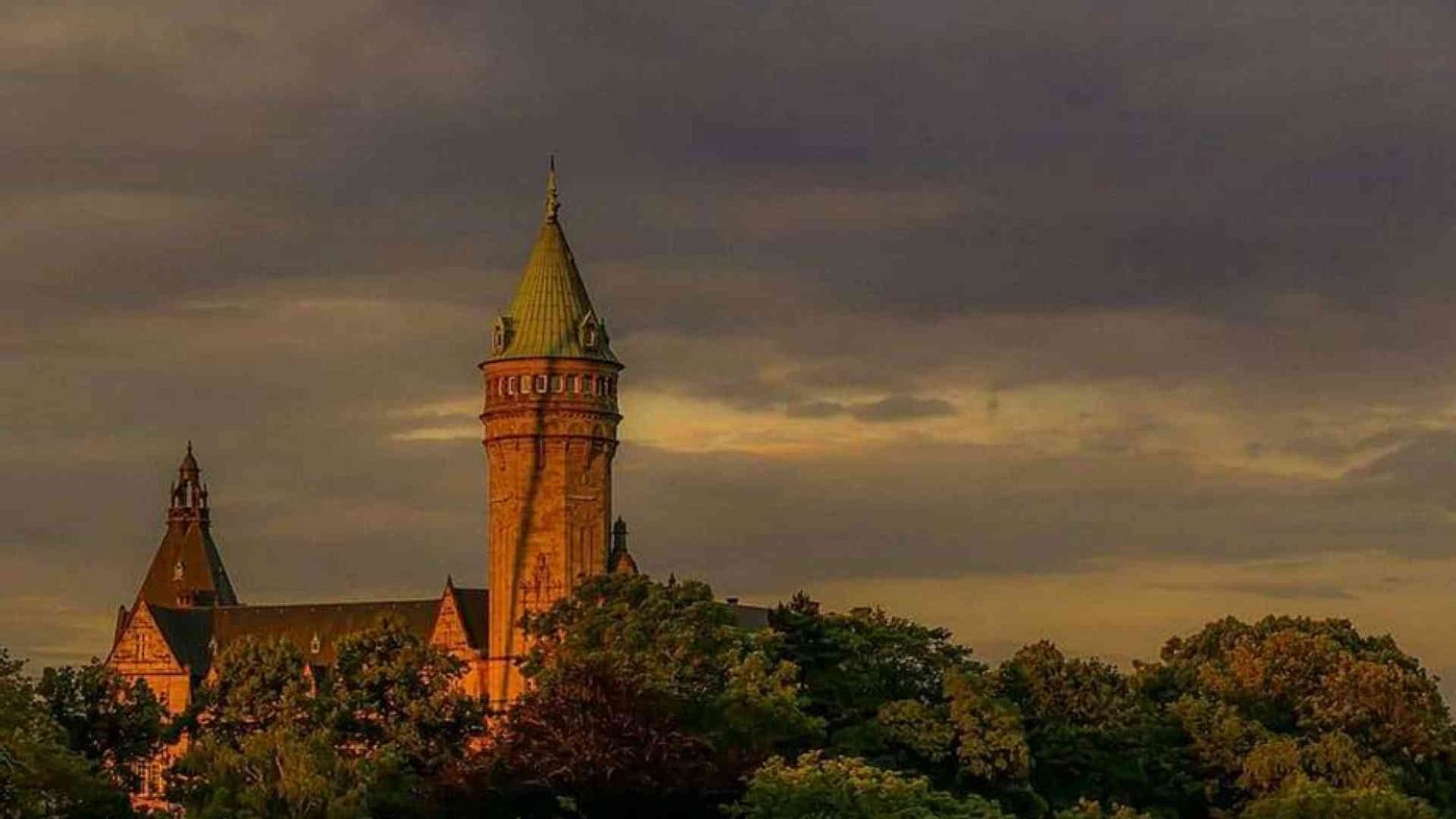 Dove pagano le tasse le multinazionali