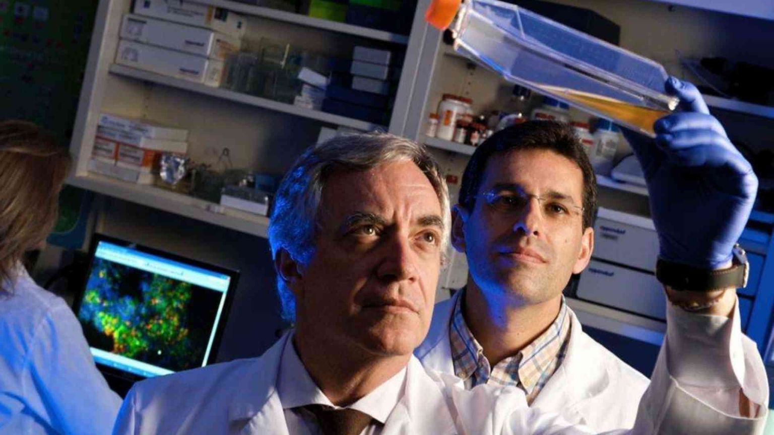 Dalle staminali i farmaci anticovid, il punto sugli studi