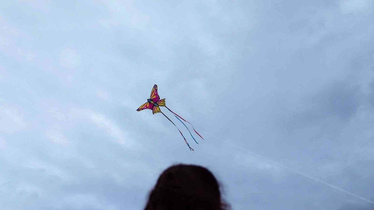 Vietato far volare gli aquiloni: bimbi fermati dalla polizia