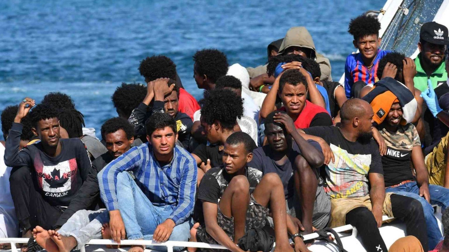 Cani mangiati a Lampedusa dai migranti: ecco perché è una bufala