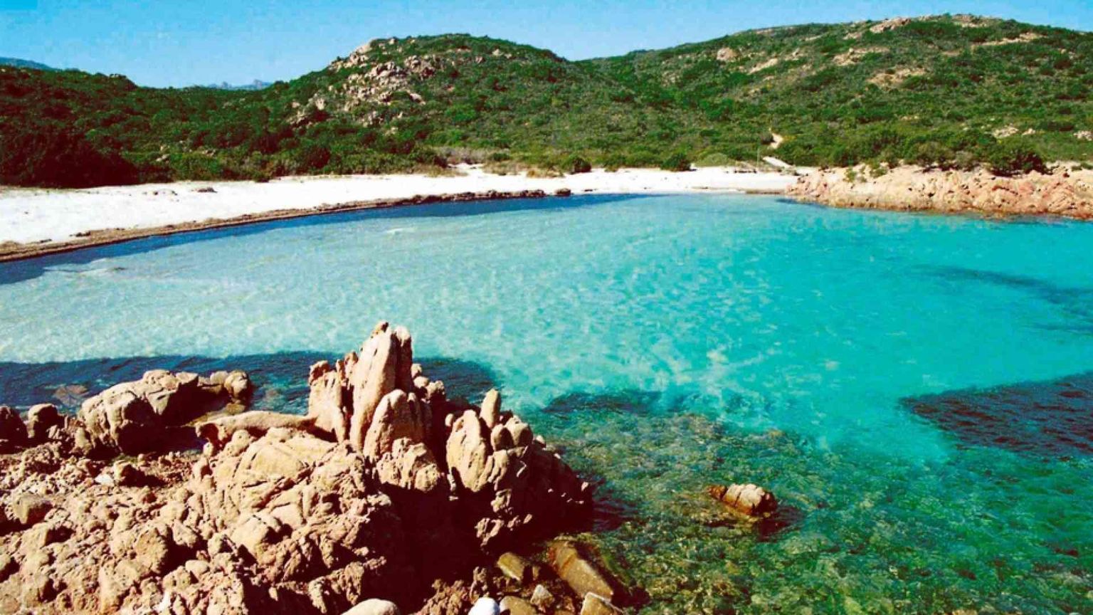 «Durante il ricovero per Covid ho capito la sfida ecologica»