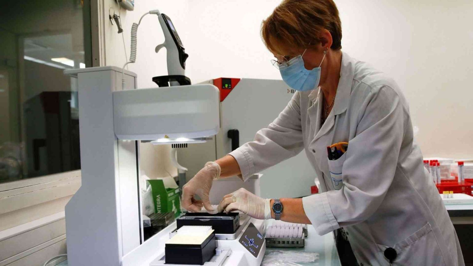 Perché molti non si ammalano? «Ecco chi riesce a "tollerare" il virus»