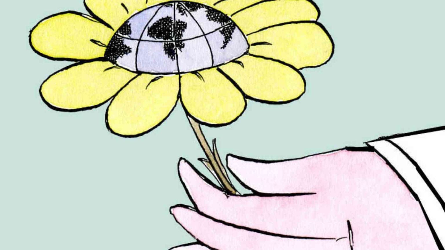 Politica, la forza della gentilezza