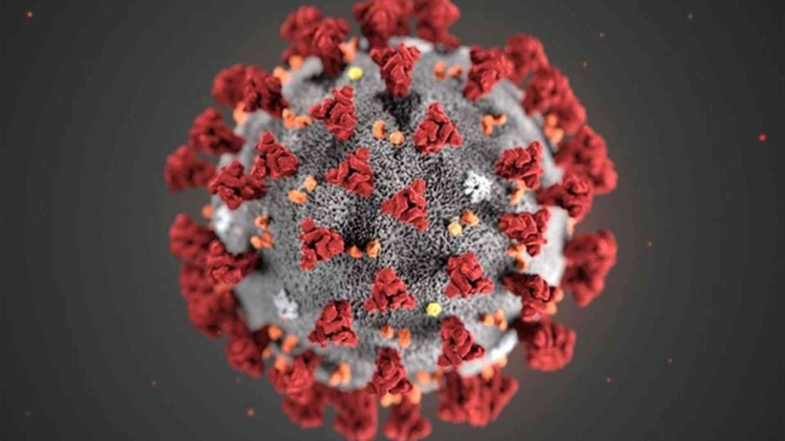 Le mutazioni del virus: quante sono state e perché fanno paura