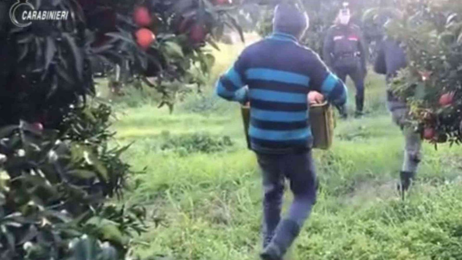 Schiavi per tre euro all'ora. Il caporalato è made in Italy