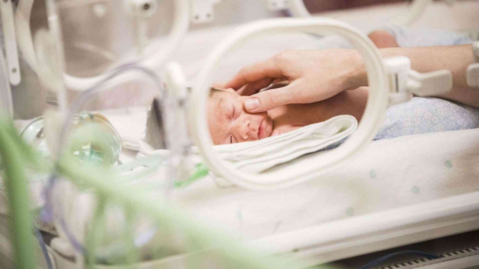 No agli spot liberi per l'utero in affitto