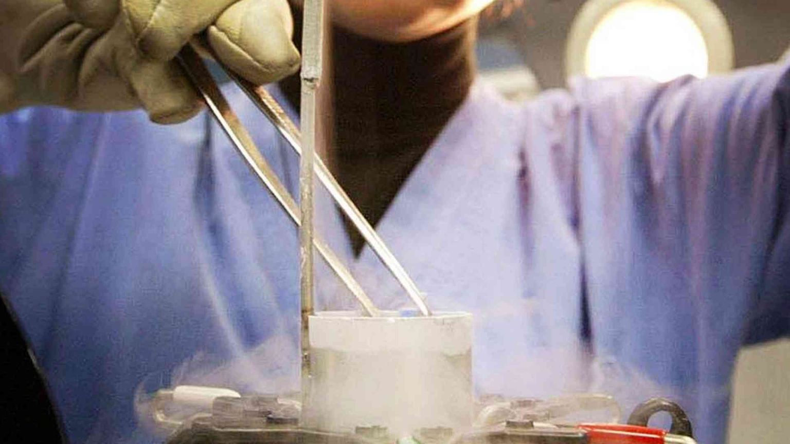 "Embrioni viaggiatori": tra India e Ucraina la rotta dell'utero in affitto