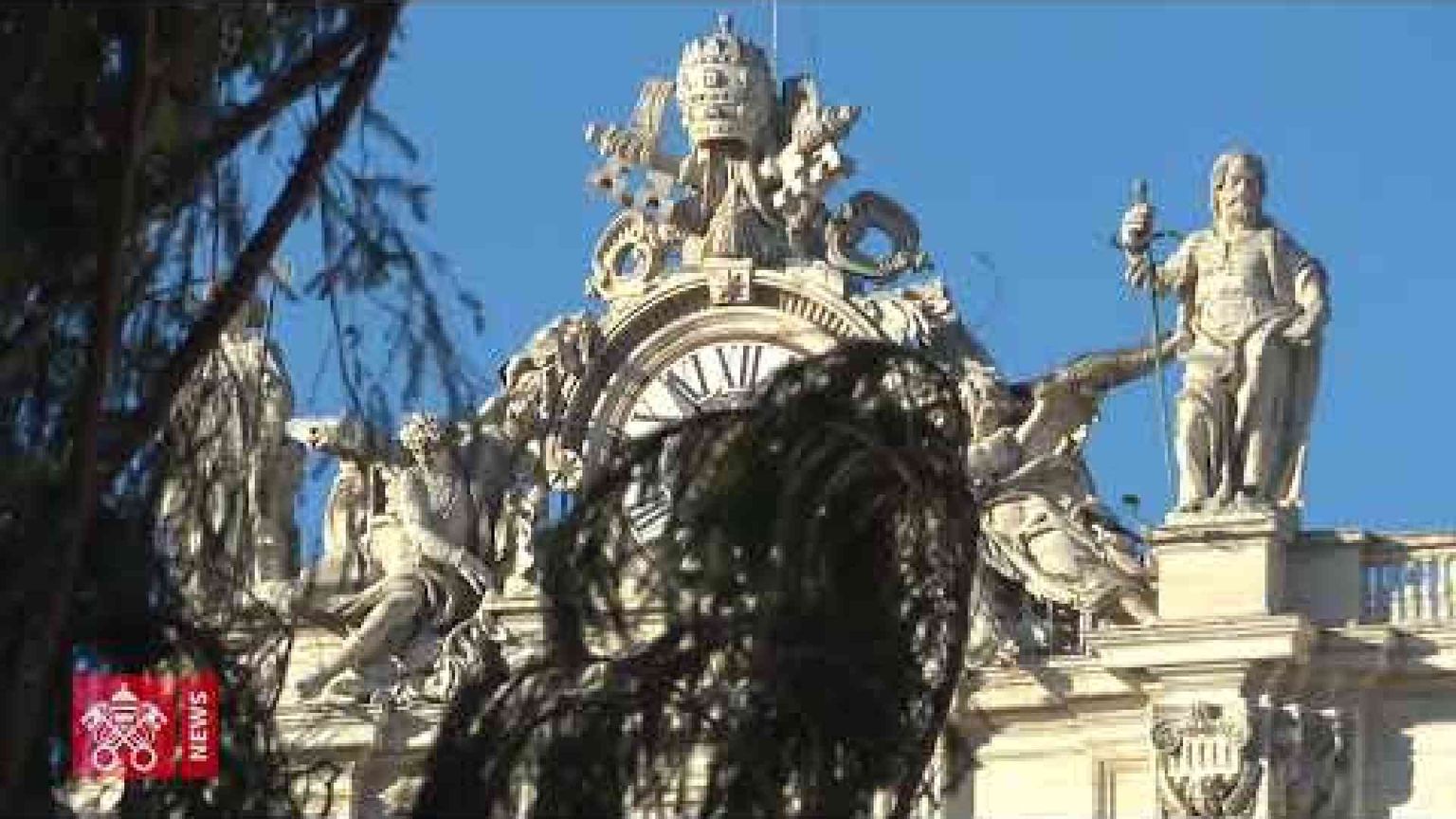 L'albero di Natale arriva in Piazza San Pietro