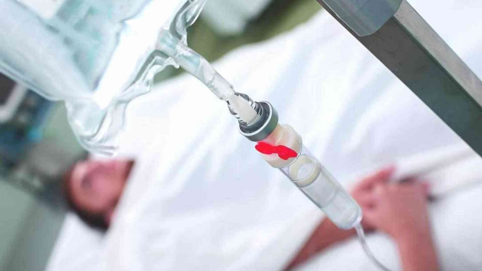 Cei: la libertà sia al servizio della vita