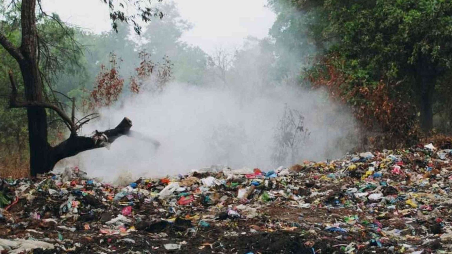 Ecomafie, crescono i reati del 23%, affari dei clan per 20 miliardi