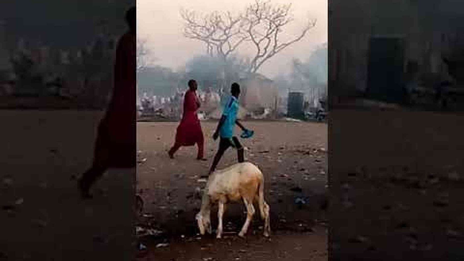 Attentato di Boko Haram: 27 vittime. Erano profughi