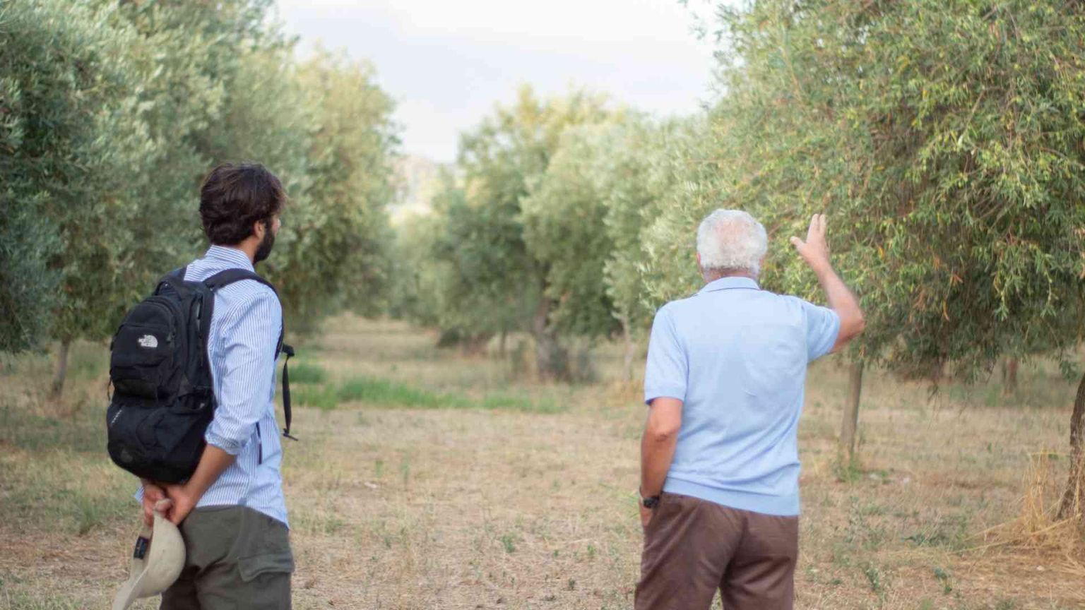 La startup siciliana e l'olio "a impatto positivo"