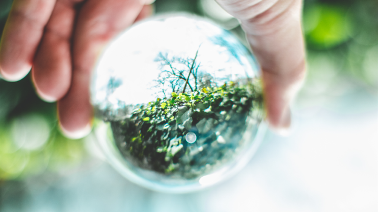 Alla ricerca di personale