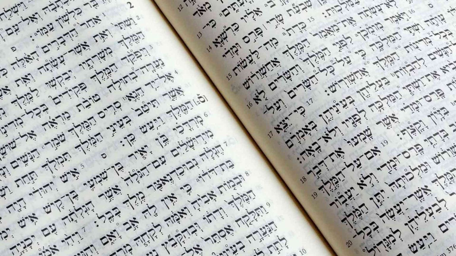 «Ascoltare il Libro e lavorare insieme restando in attesa»