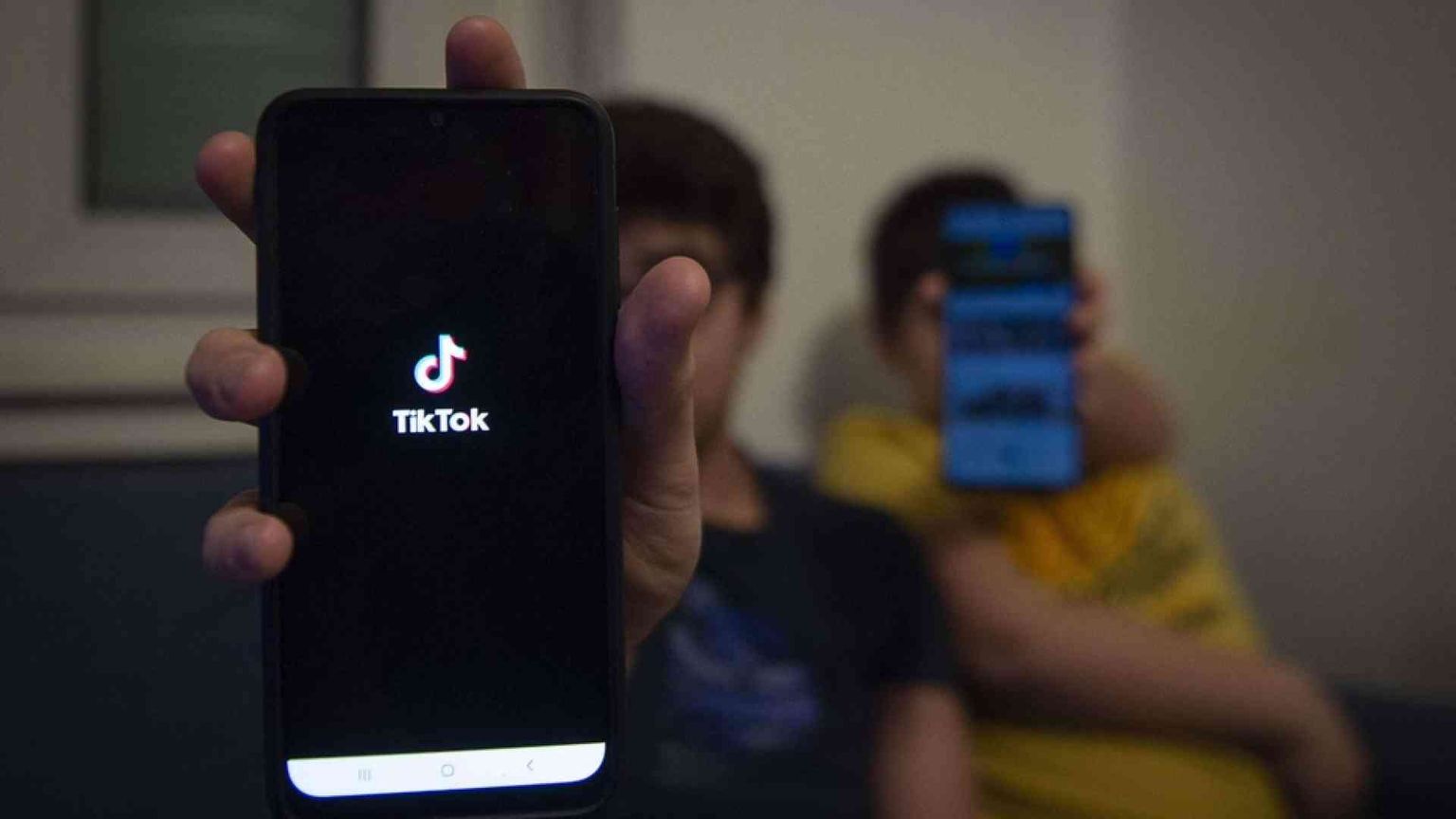 Morte di Antonella, Garante della privacy: blocco uso dei dati per Tik Tok