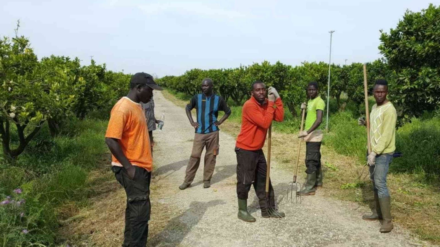 L'ascensore sociale è fermo: una rete per chi resta indietro