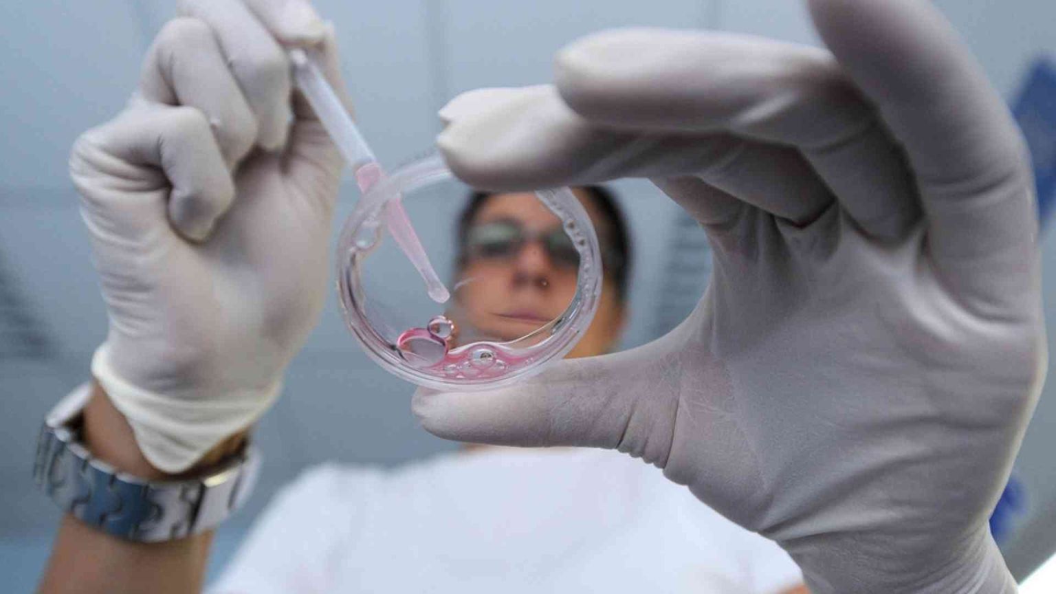 Francia: il Senato boccia la «provetta per tutte» e il «diritto al figlio»