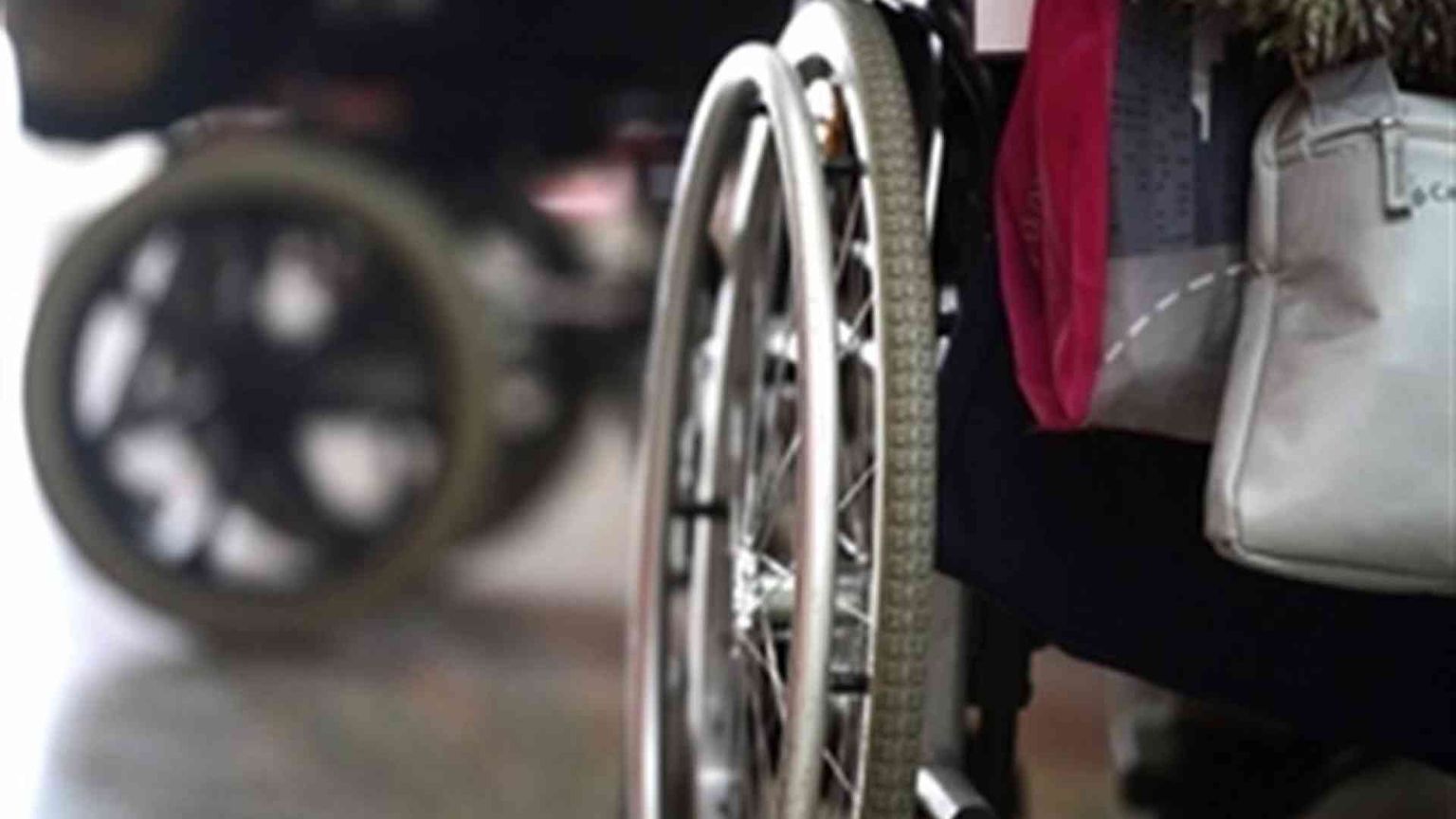 Nasce l'Agenzia che aiuta i disabili a inserirsi