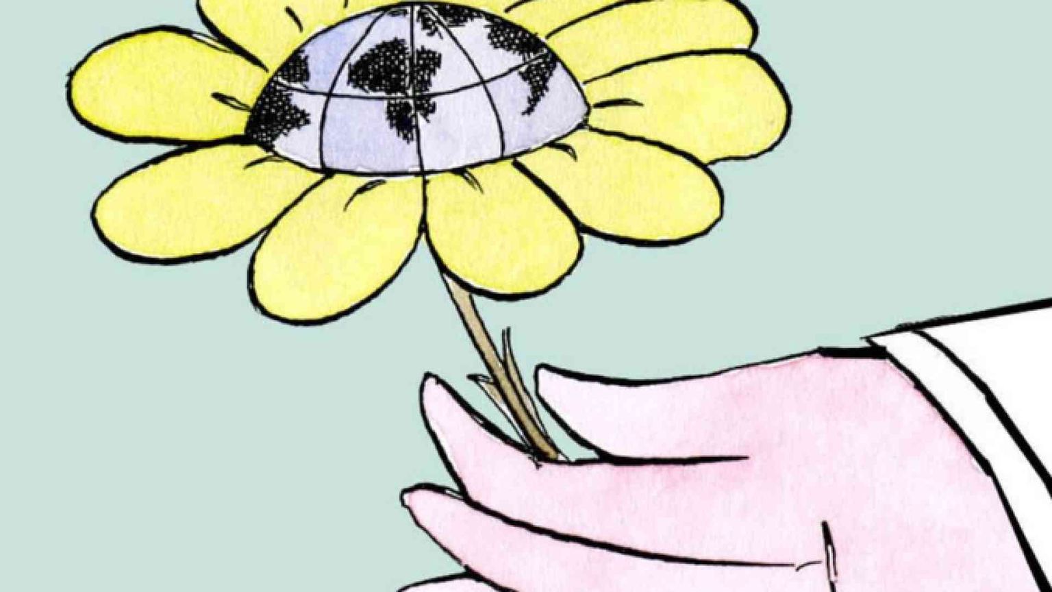 Giornata mondiale del complimento