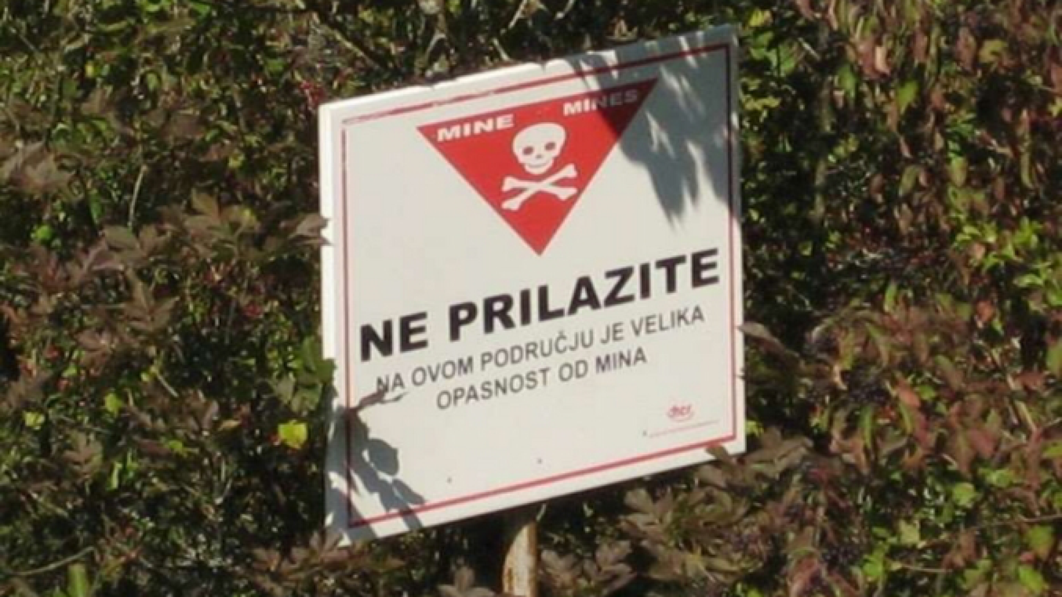 Croazia, profugo ucciso da una mina antiuomo. Una decina i feriti