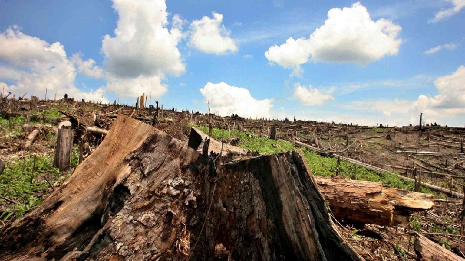 Tutelare la vita e la salute a partire dalla difesa del suolo