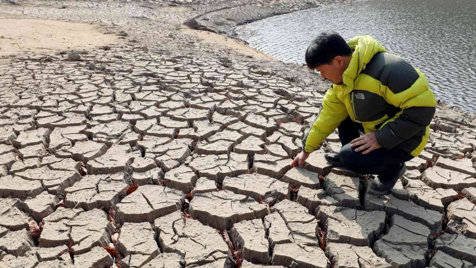 Il Papa: è un dono, non una merce