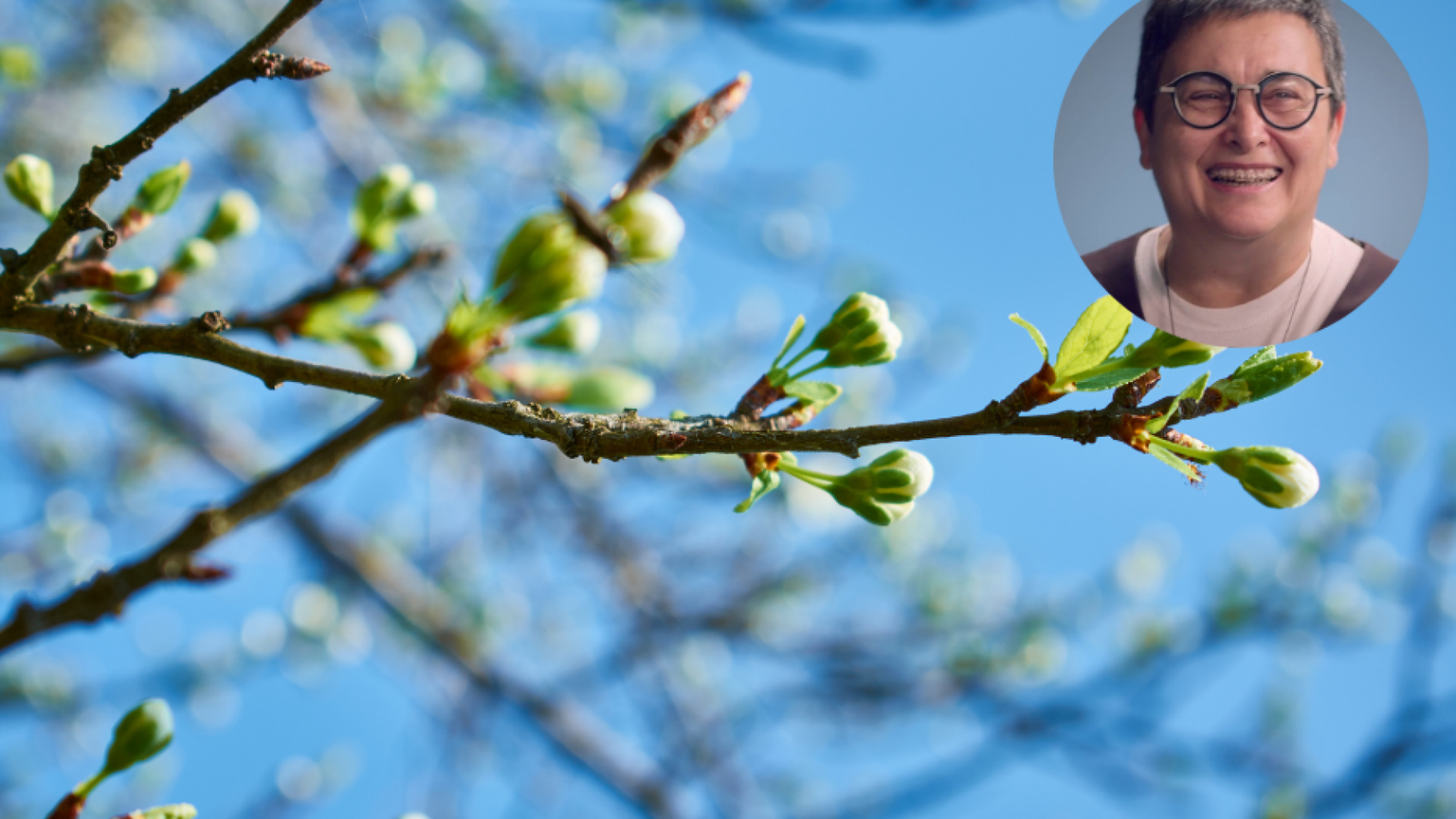 Lʼattesa educativa di nuovi germogli