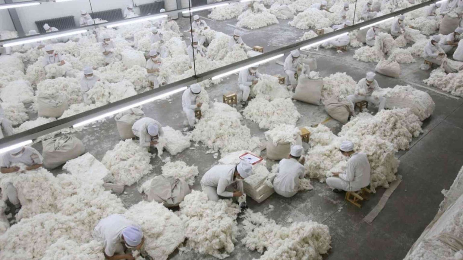 Primo stop in Italia al cotone prodotto dal lavoro forzato degli Uiguri