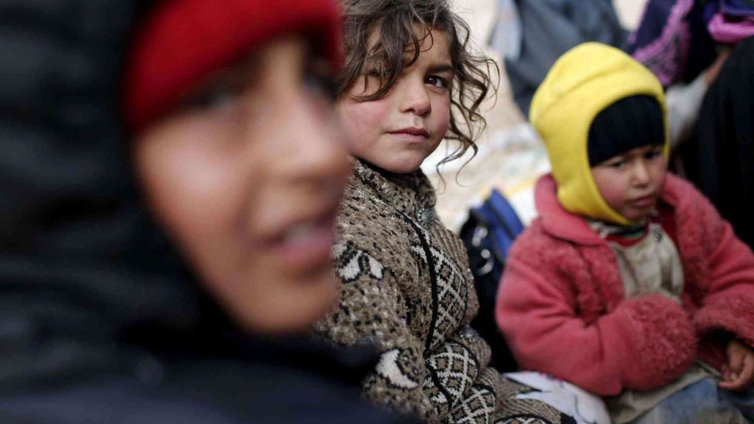 Siria, si muore anche per un fungo. Ma non perché è velenoso