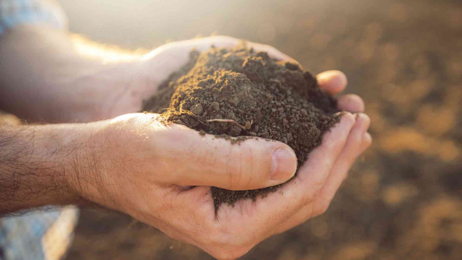 Alla ricerca di personale