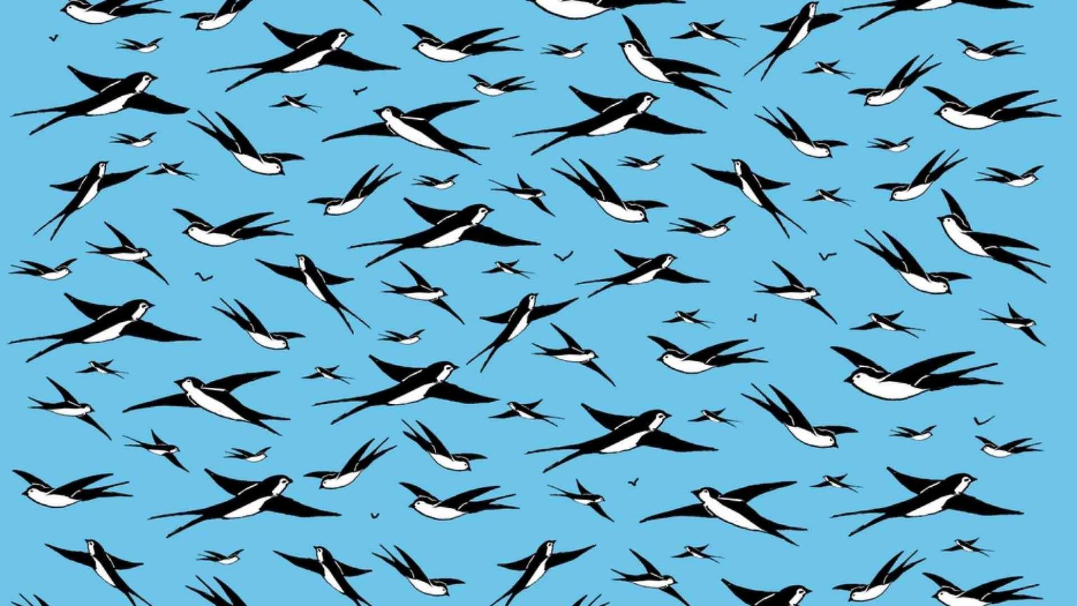 Come cambiare gli stili di vita per prevenire le pandemie