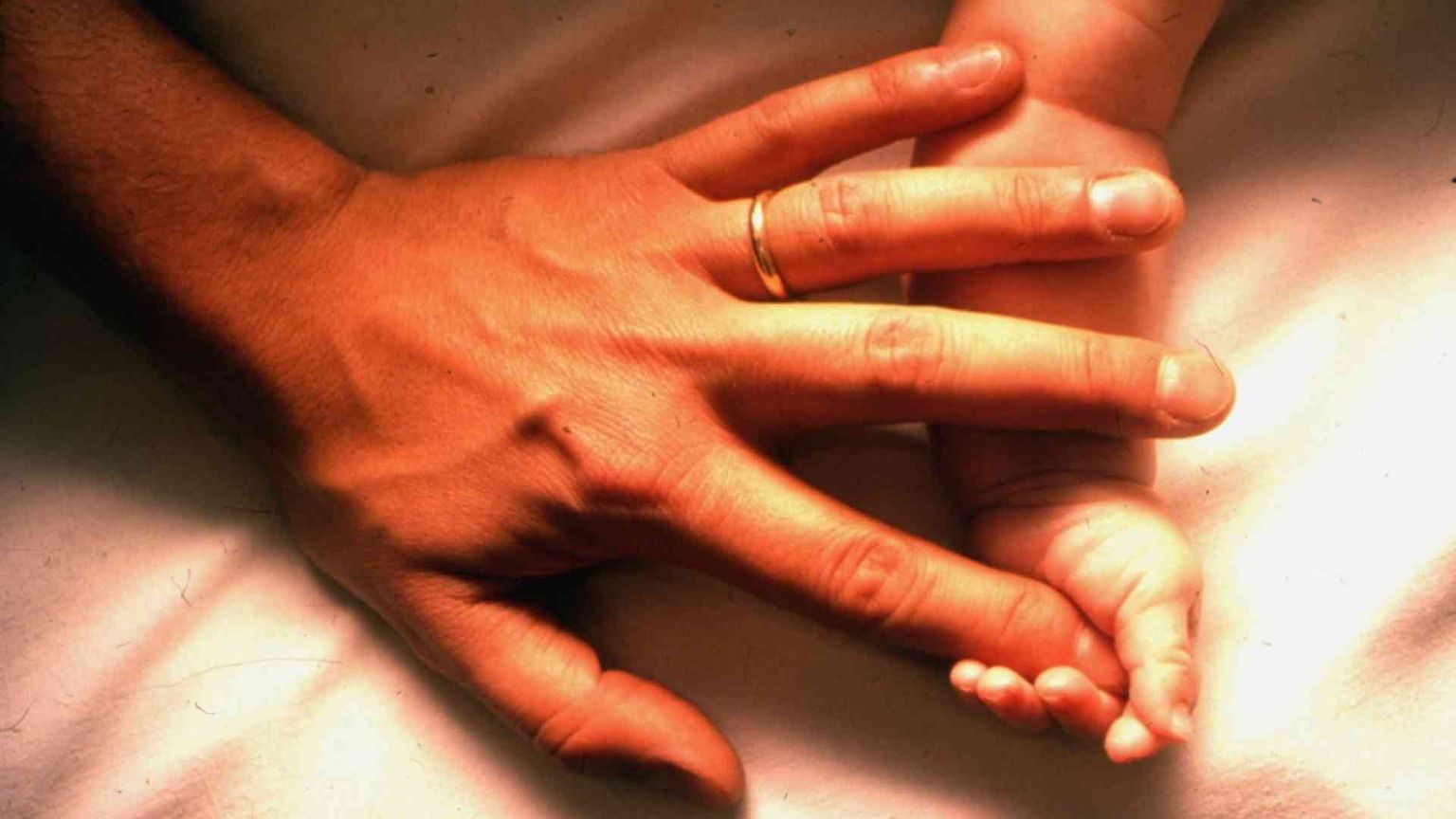 Federvita, sfida alla pandemia: nel 2020 aiutati a nascere 2.022 bambini