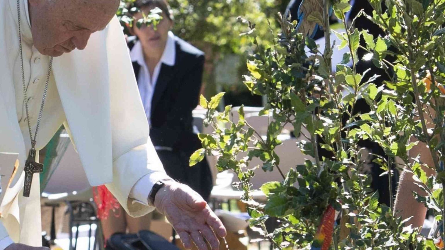 Papa Francesco: la «condivisione» è la ricetta per salvare la Terra